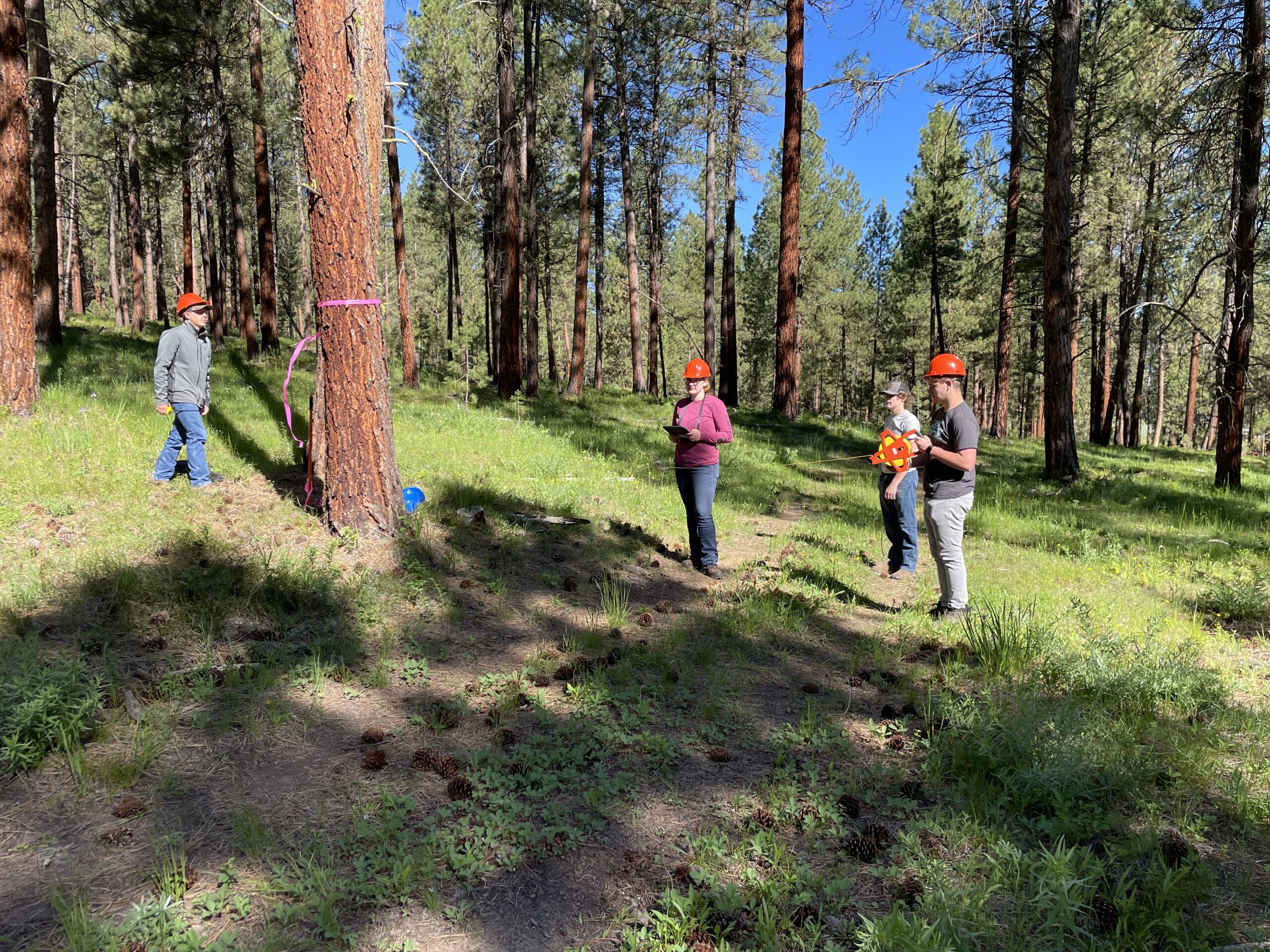 ACFD4800-26F2-4322-A982-3FFC3EE2367B